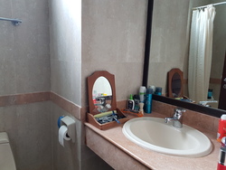 Tanglin Regency (D10), Condominium #170181612